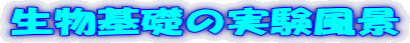 b̎i