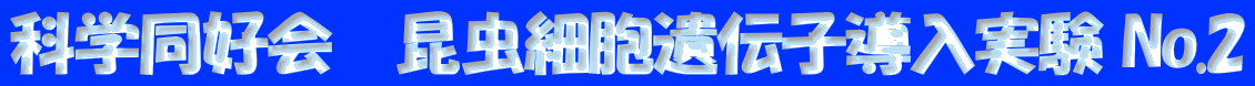 ȊwD@זE`q No.2